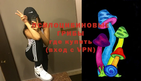 гашик Козловка