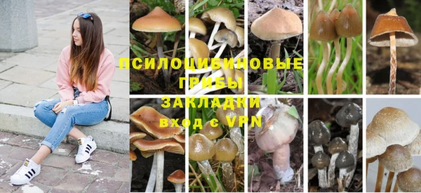 бошки Киренск