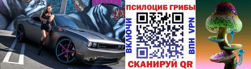 Купить закладки  Волосово  Галлюциногенные грибы Magic Shrooms 
